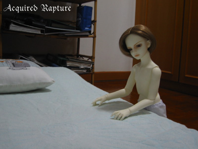 bed