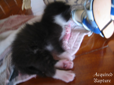 *snuffle*