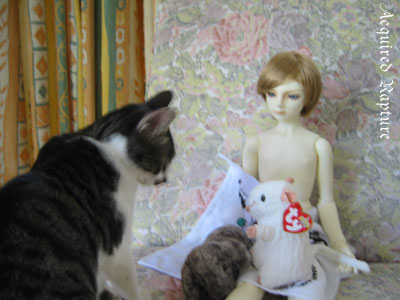 *miao*